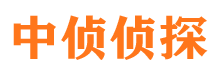 零陵侦探公司